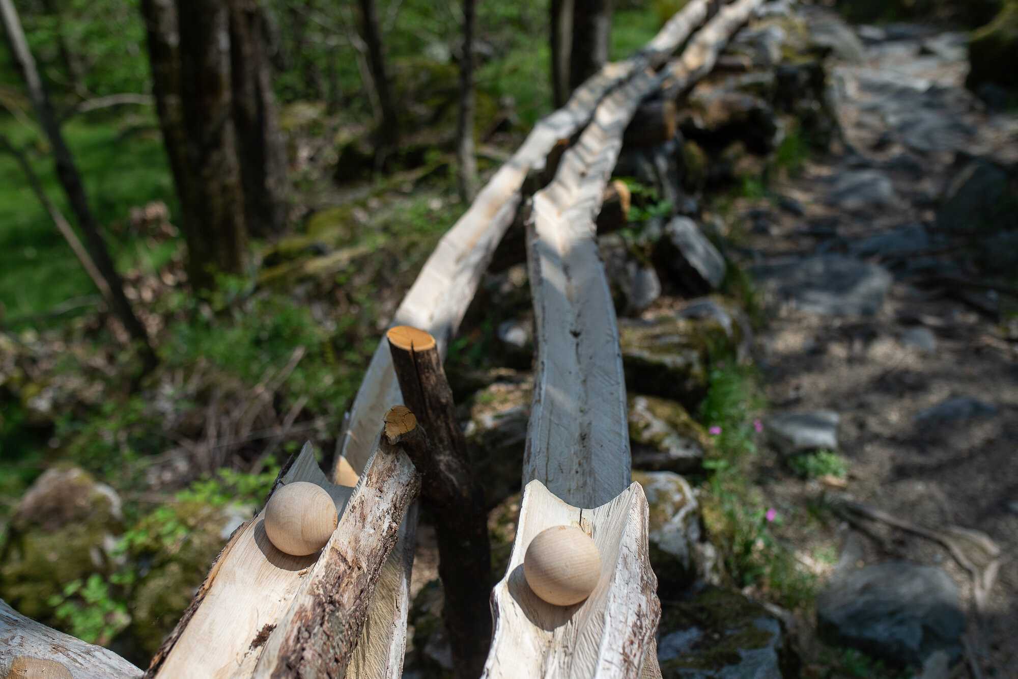 Ticino Activities